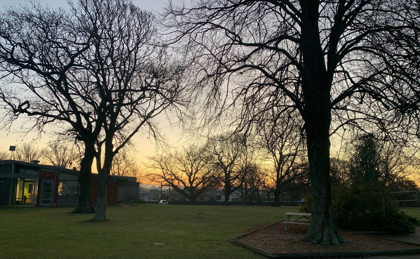 Timaru Girls Hig School | A sunset in a park with trees and a picnic table
