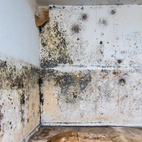 Penetrating Damp Dorset and Somerset