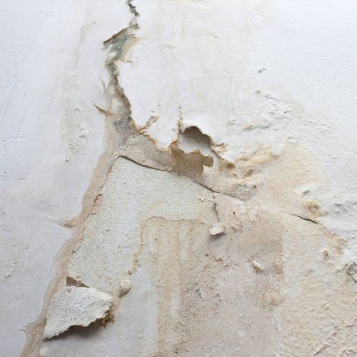Penetrating damp dorset and somerset