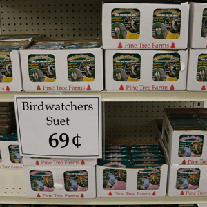 Bird Watcher Suet Cakes — Ephrata, PA — Ephrata Agway Bird Watcher Suet Cakes — Ephrata, PA — Ephrata Agway