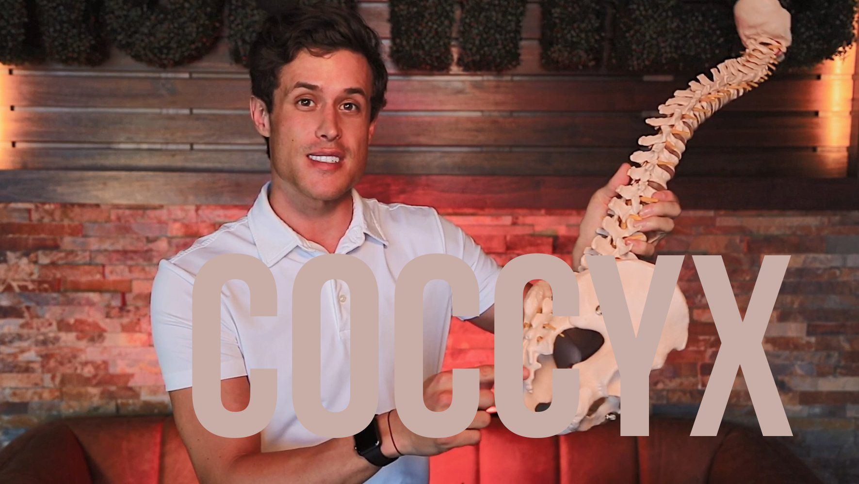 Coccyx- grand island chiropractor, wilderness ridge chiropractic, dr. josh