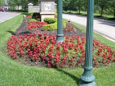 Commercial Landscape Contractor — Commercial Landscape with Red Flowers in Troy, MI