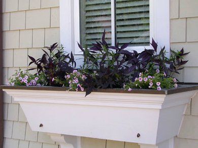 Commercial Landscape Design — Decorative Landscape by the Window in Troy, MI