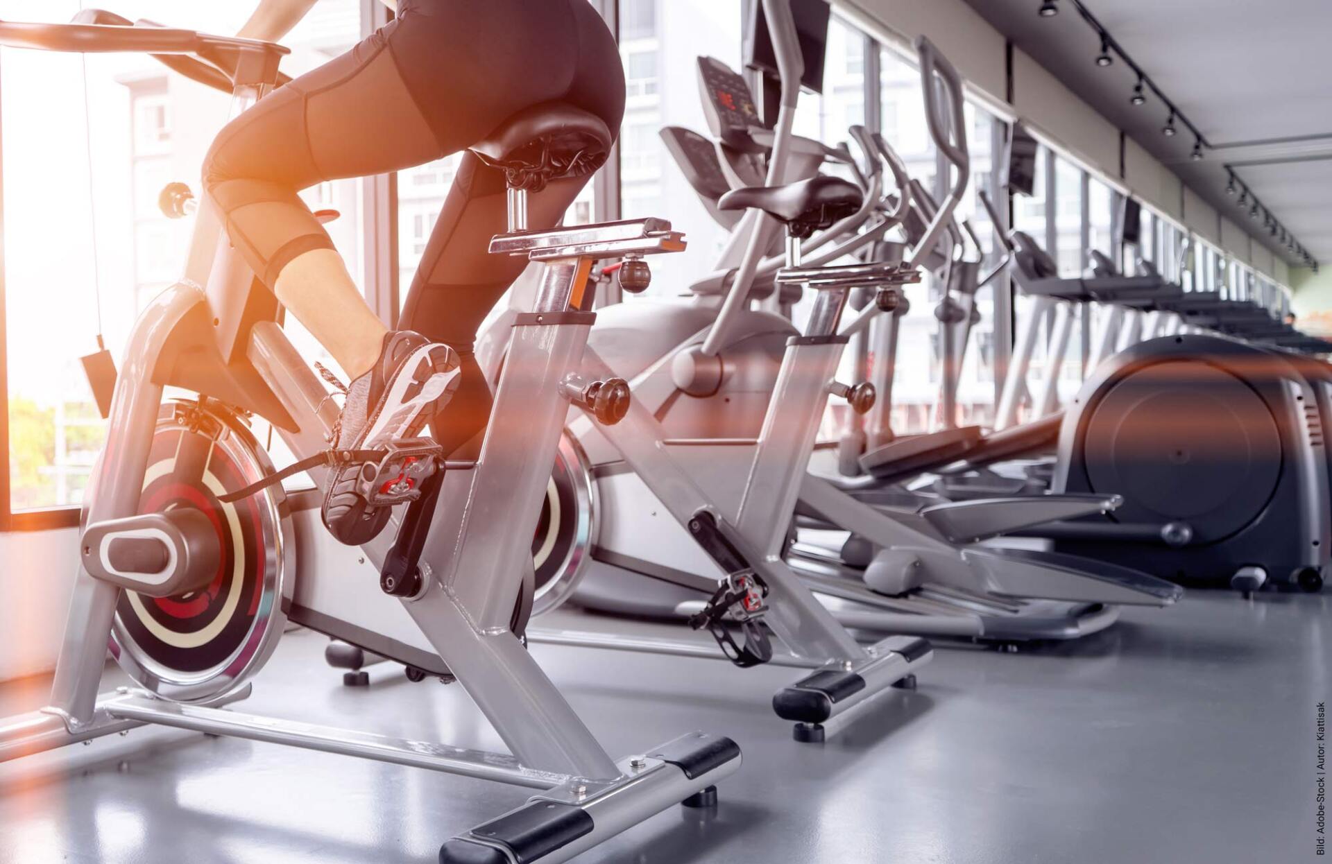 Fitness