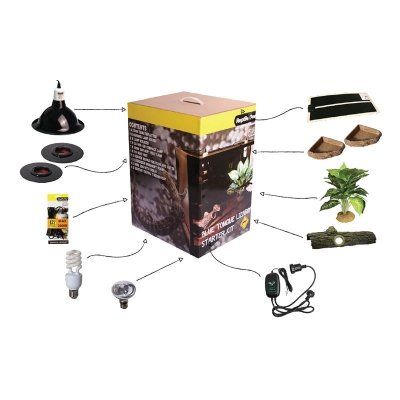 Reptile Accessories