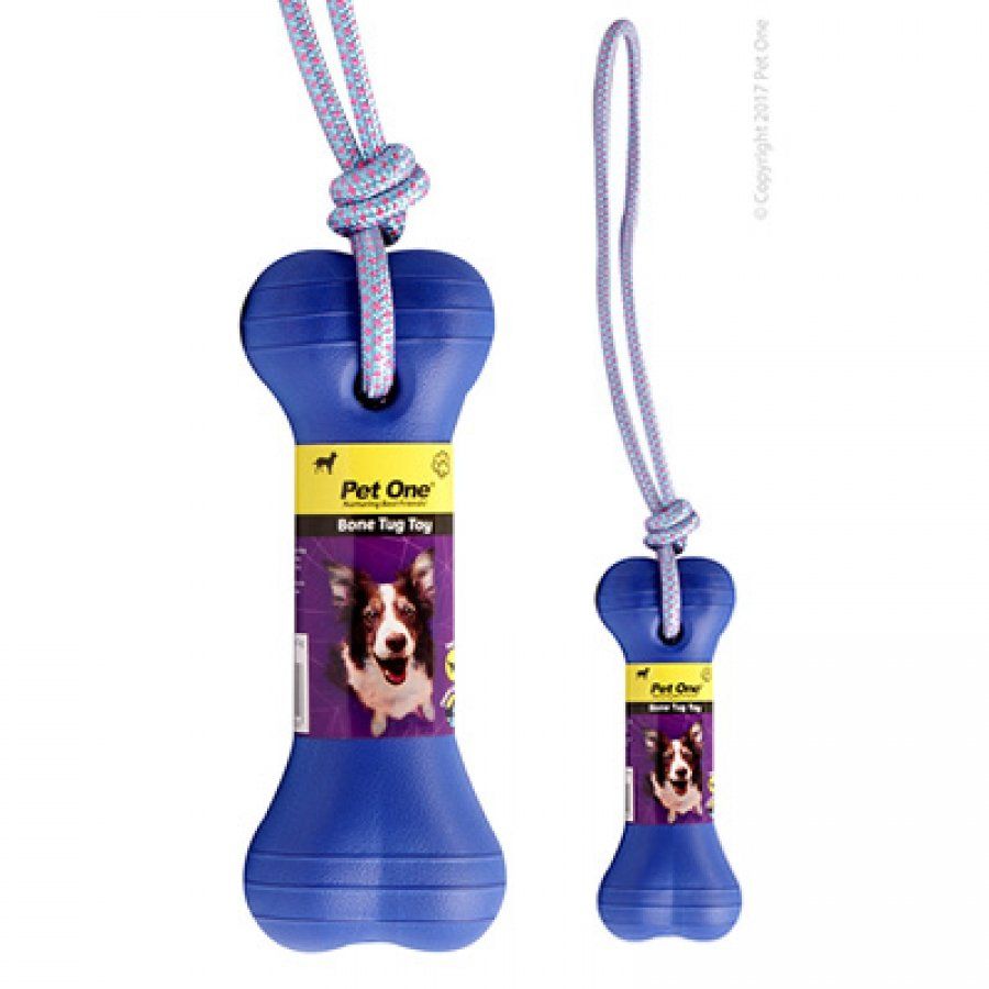 Dog and Cat Accessories