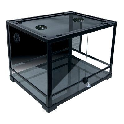 Reptile Accessories