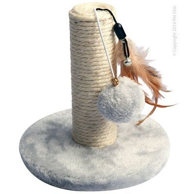 Dog and Cat Accessories
