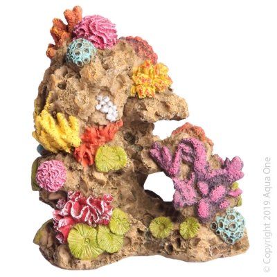 FISH ACCESSORIES