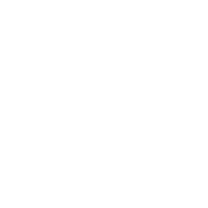 reptile