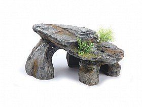 Reptile Accessories