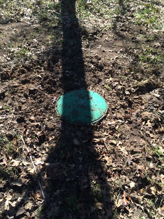 Green circular lid on leaf-covered ground, partly shadowed by a tree trunk.