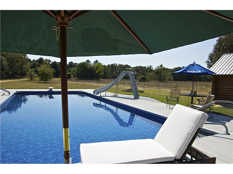 lounge chair with umbrella and pool with sliding board in background