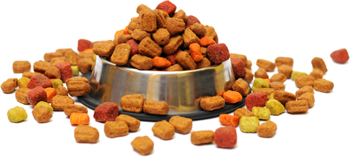 dog food