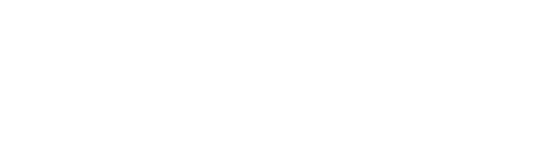 Wiley X logo