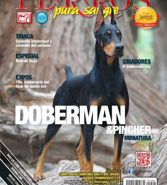 criadero doberman pinscher