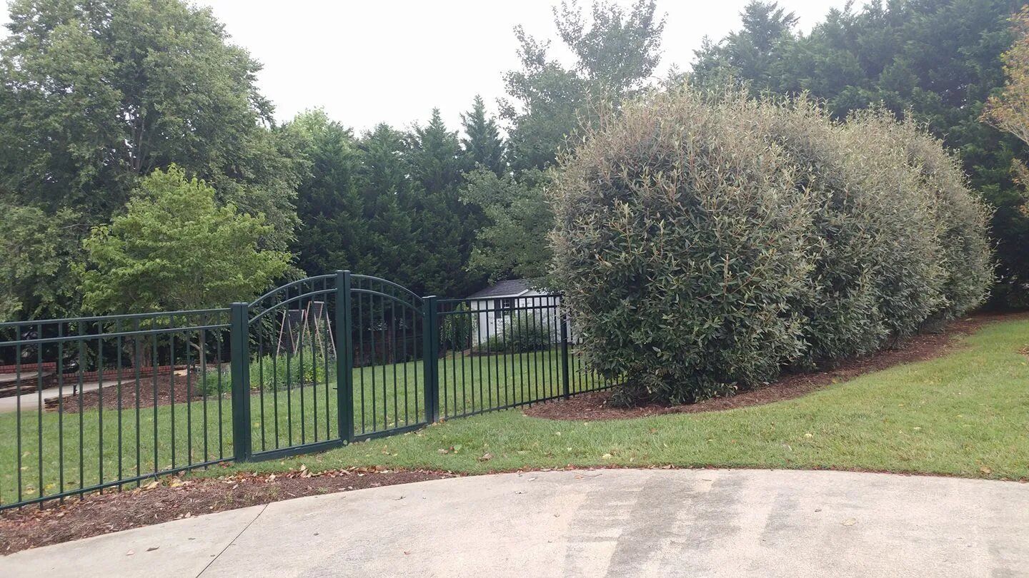 Chain Link Green — Hickory, NC — Fister Fence of Hickory LLC