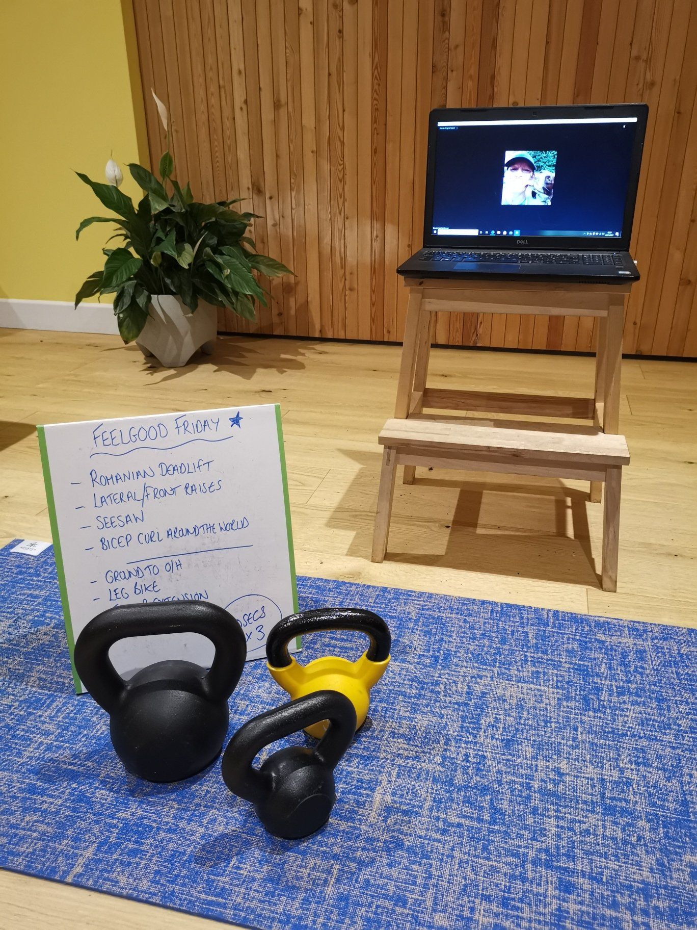 tazfit gallery image