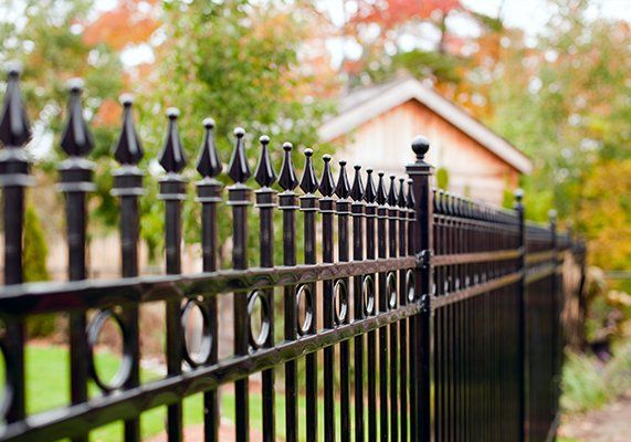 Fence Repairs — Newly Painted Fence in Central Florida Fence Repairs — Newly Painted Fence in Central Florida