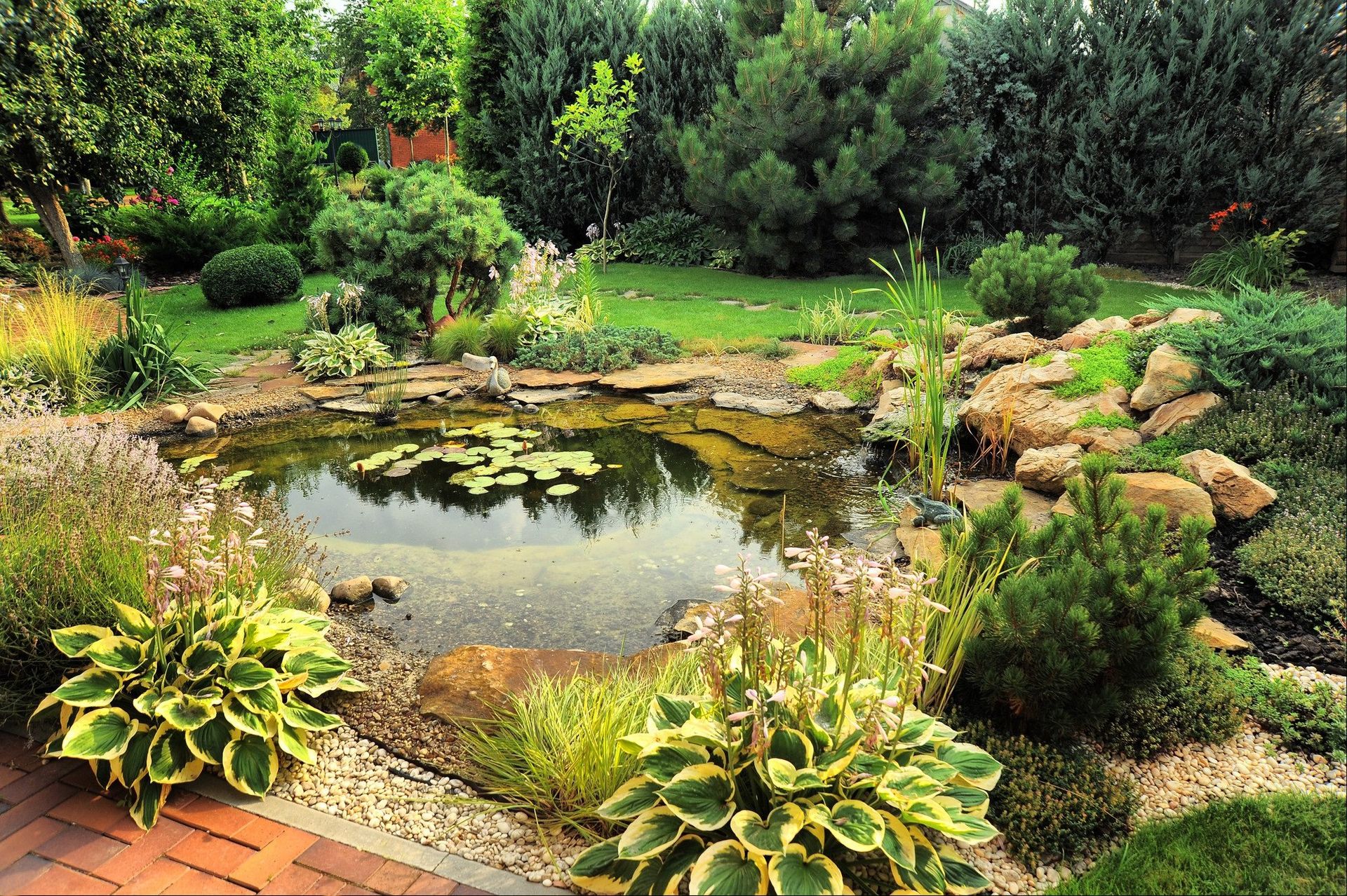 pond with rockery edges and water lilies