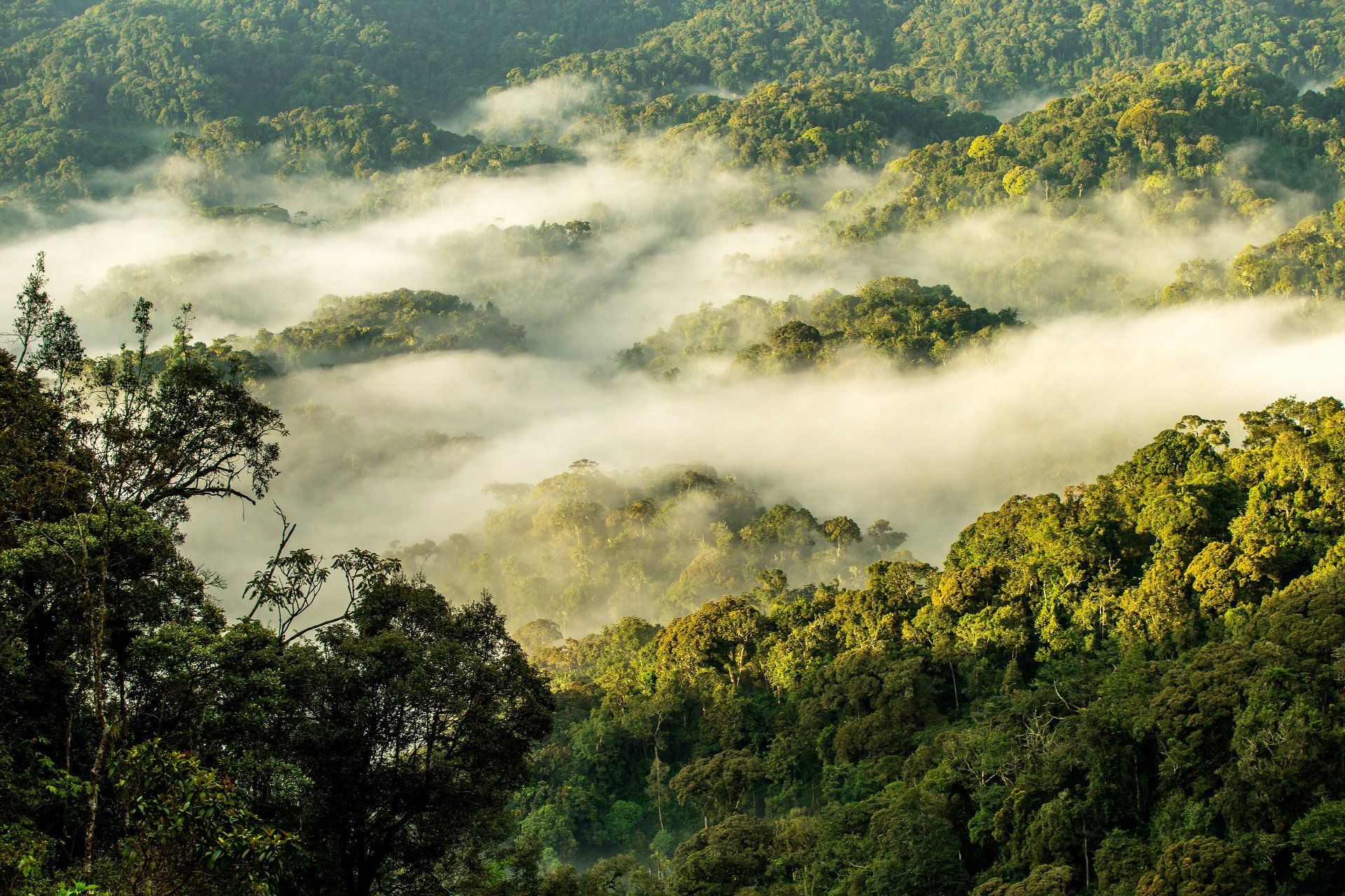 Classic Rwanda Safari by Mist Rwanda Safaris
