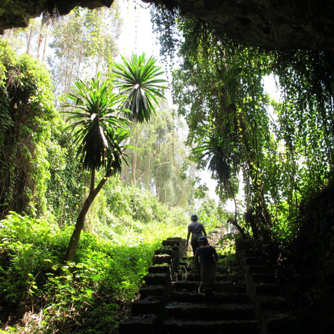 Musanze Caves - Mist Rwanda Safaris