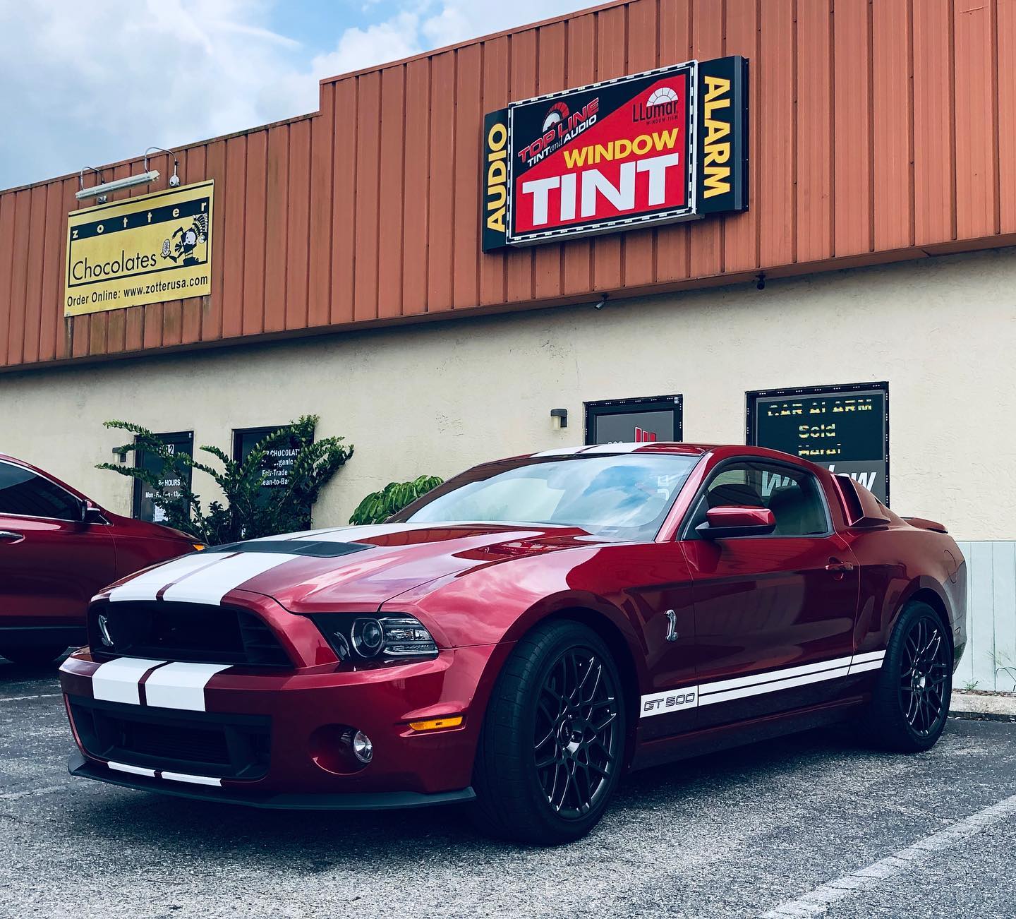 car wraps fort myers