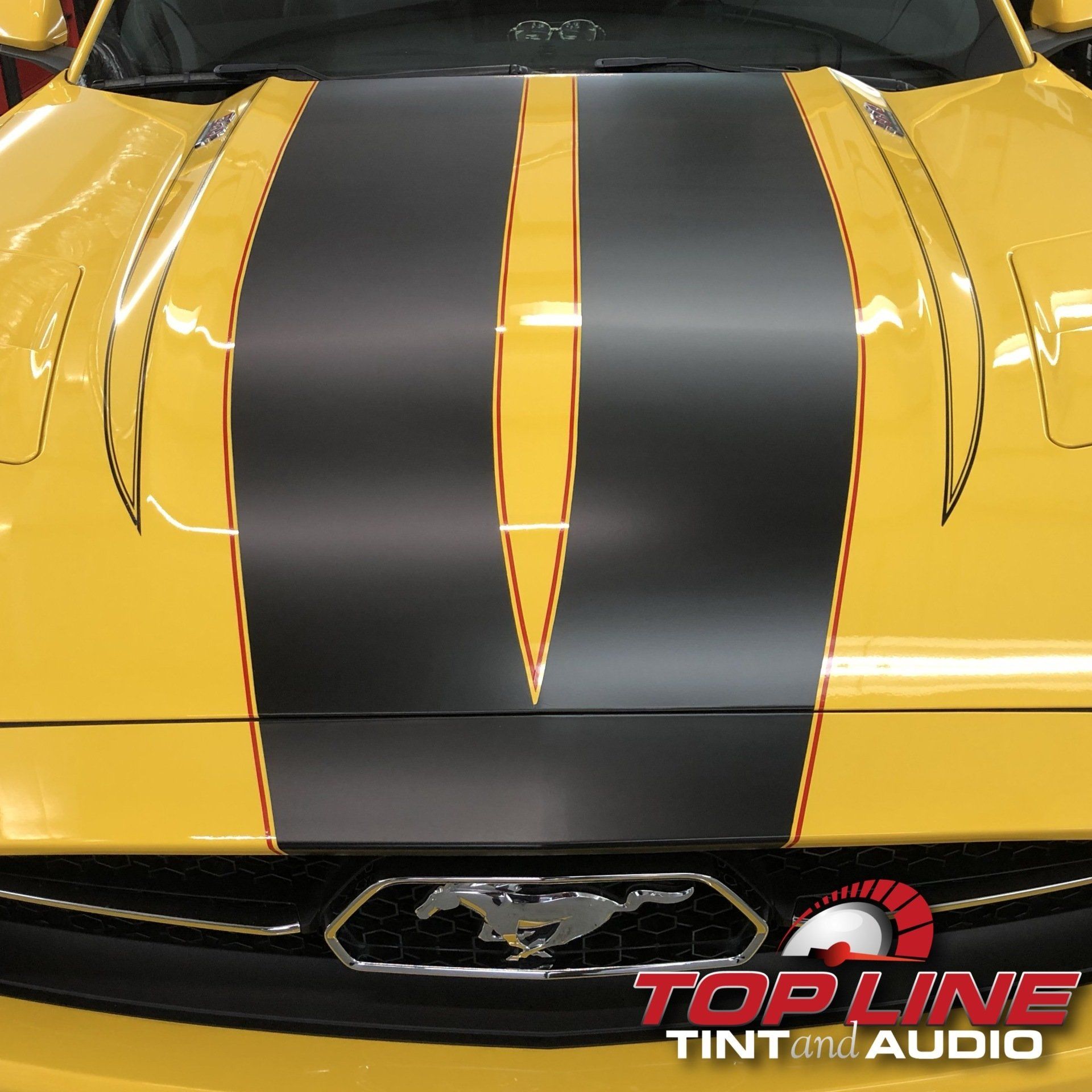 auto paint protection film North Fort Myers fl