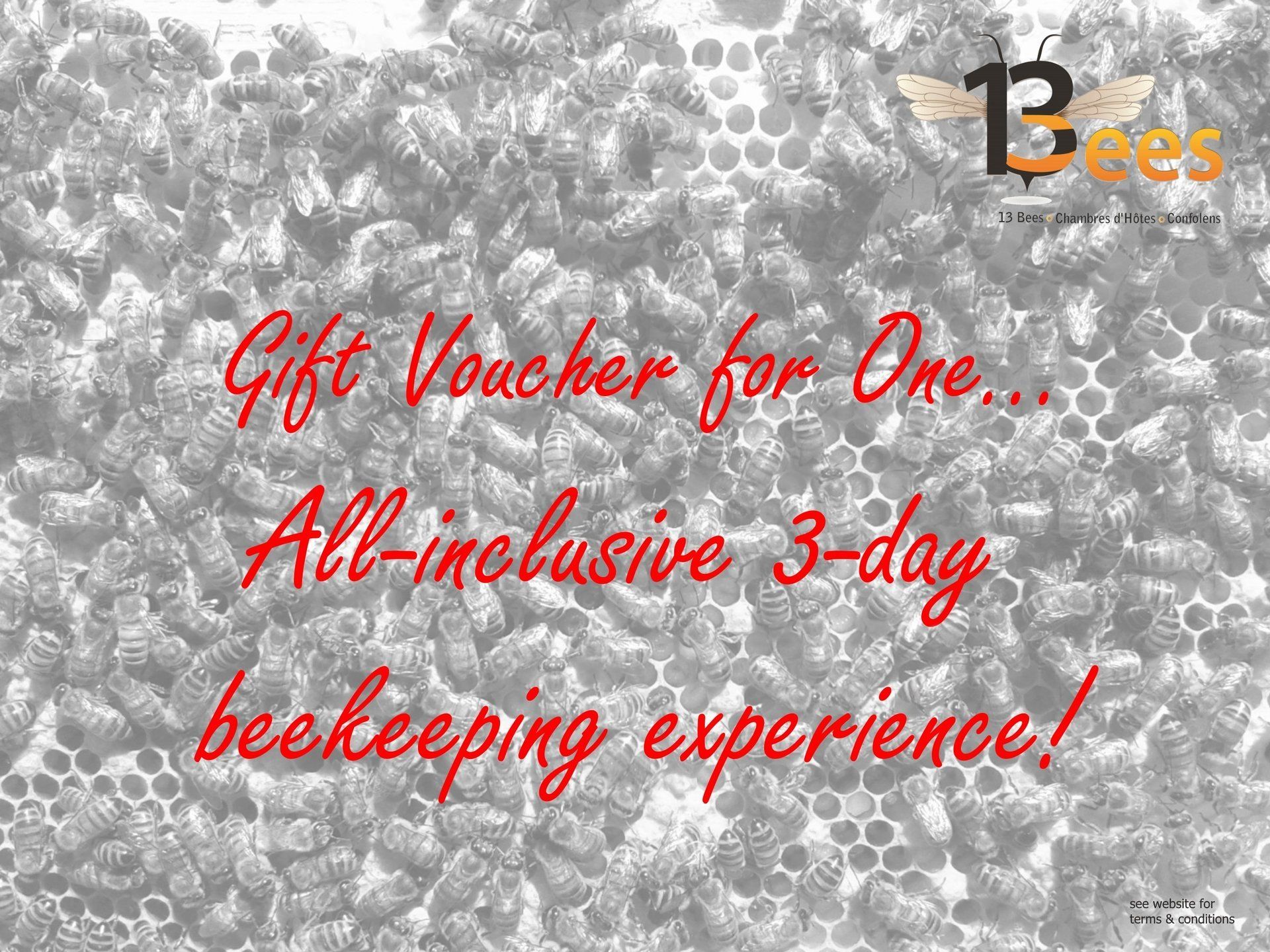 Click for more information 3-day beekeeping break gift voucher