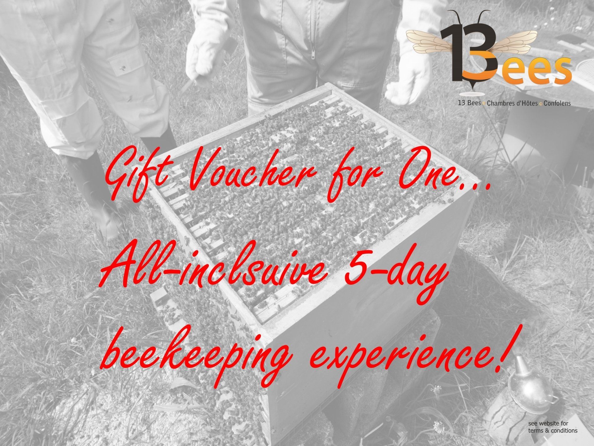 Click for more information 6-day beekeeping experience gift voucher