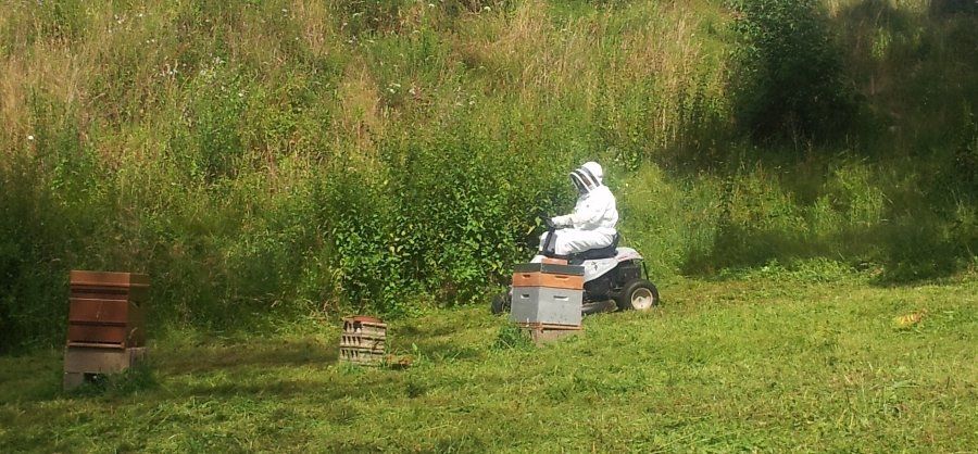 Kevin mowing the bee meadow