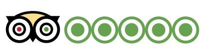 Tripadvisor Reviews