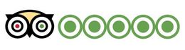 Tripadvisor Reviews