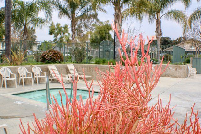 cedar glenn pool