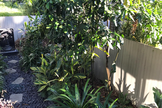 Garden Design Brisbane