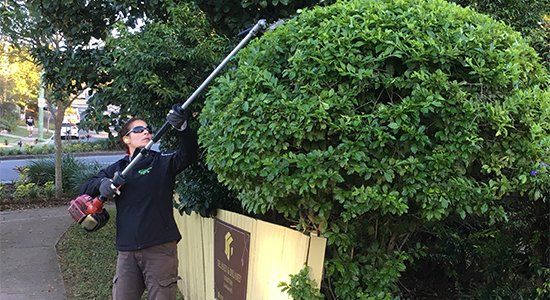 Commercial Garden Landscaping Brisbane