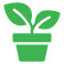 Planting