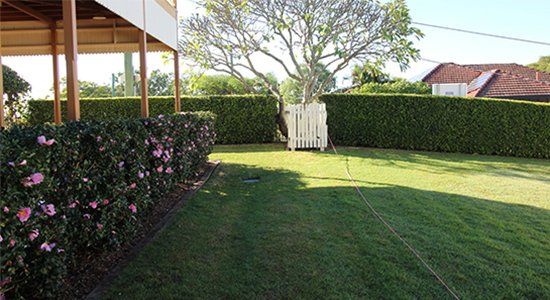Brisbane Garden Maintenance