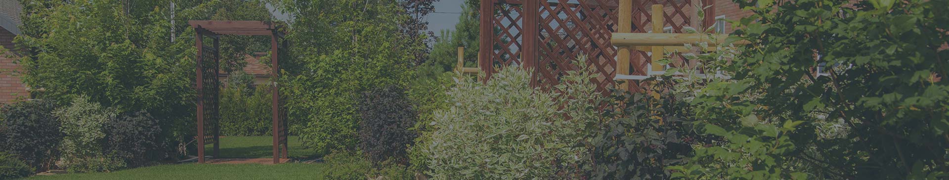 Gardening testimonial Brisbane
