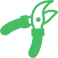 Professional Gardening Team Brisbane