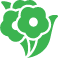 Garden Analysis services Brisbane