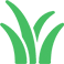 Brisbane Horticulture and Gardening Services Experts