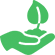 Garden Analysis Brisbane