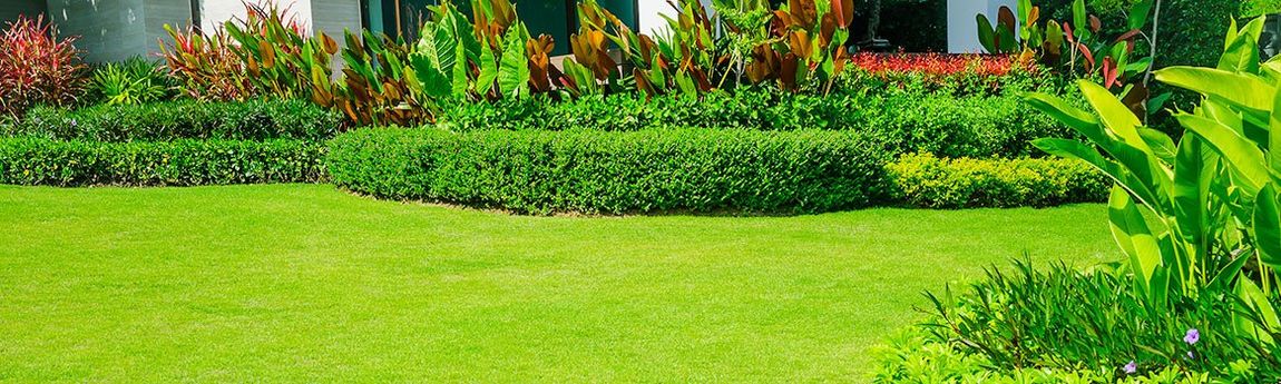 Garden and Lawn Maintenance Brisbane