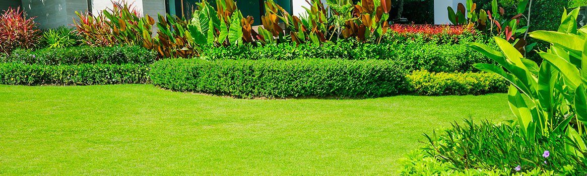 Garden Makeover Brisbane