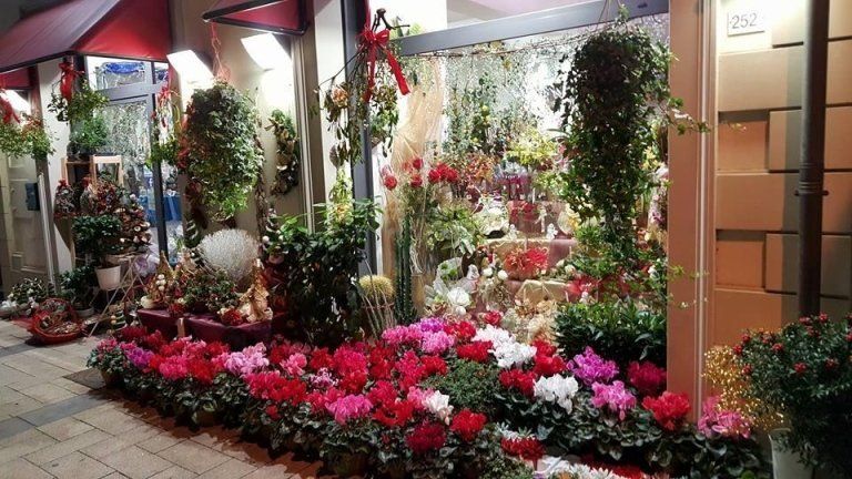 interno del negozio di fiori