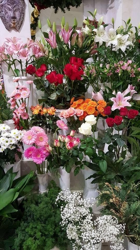 esposizione di fiori recisi