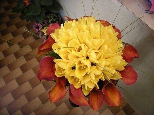 mazzo di tulipani gialli