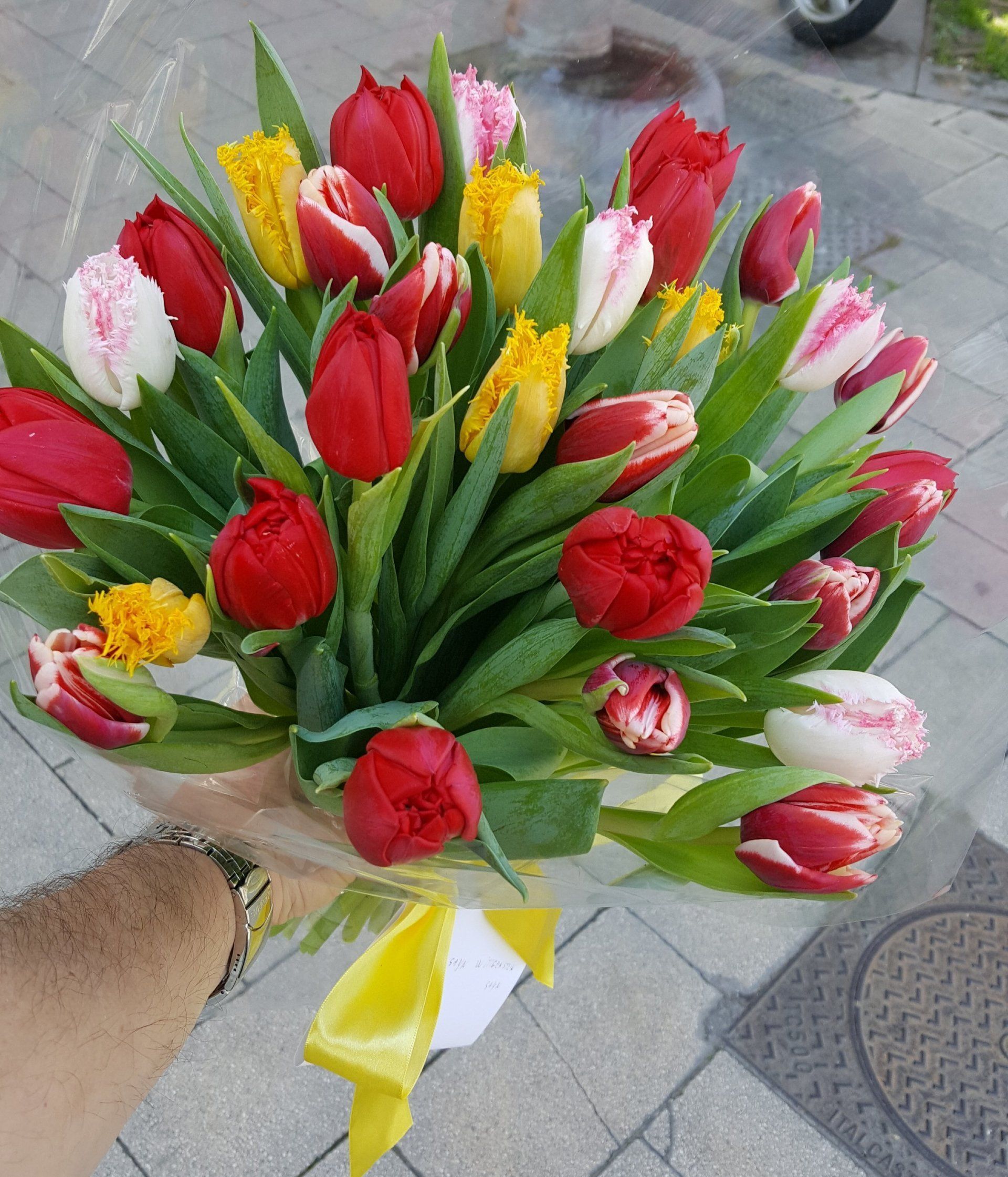 mazzo di tulipani colorati