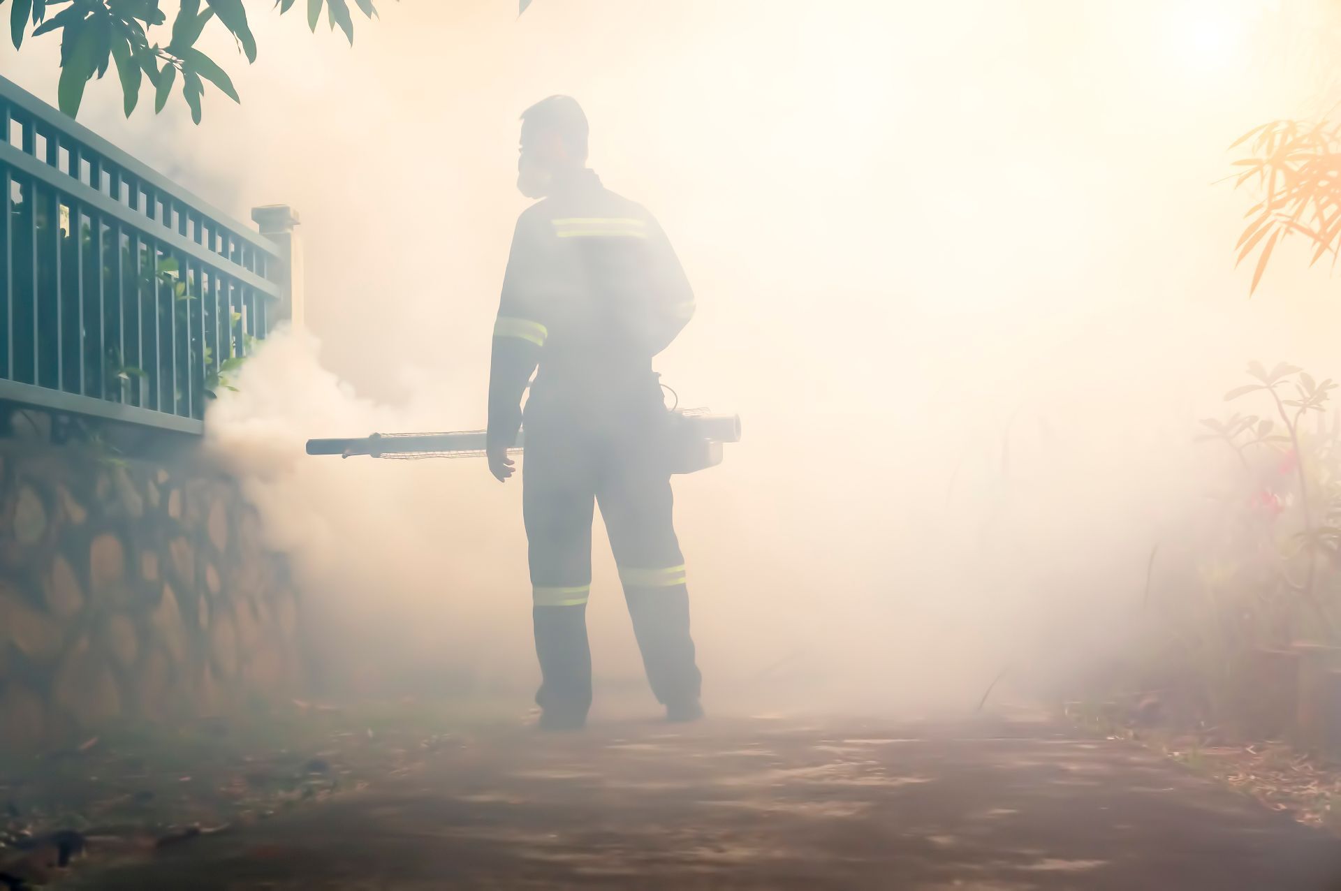 Disinfestazione e derattizzazione